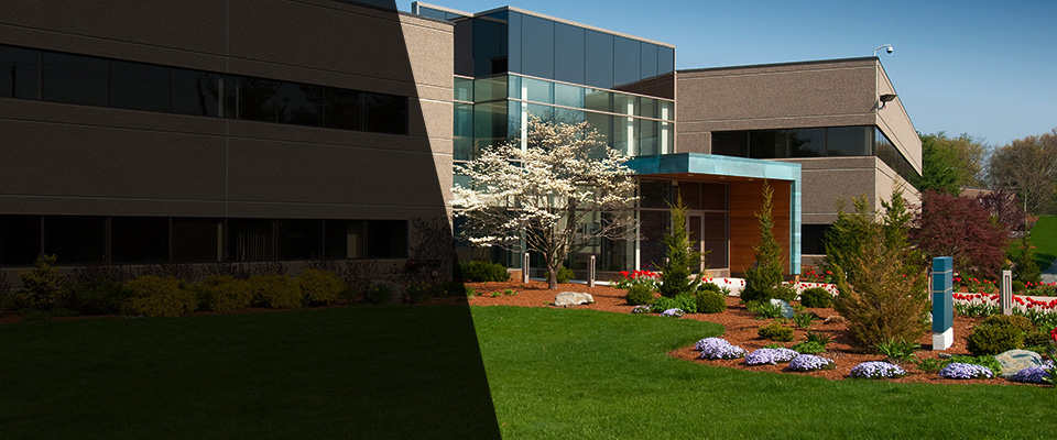 Hallsville Landscapers